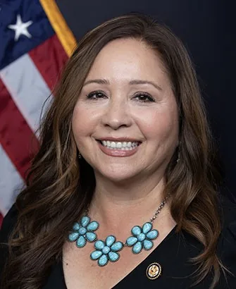 Adelita Grijalva, 2026 House candidate