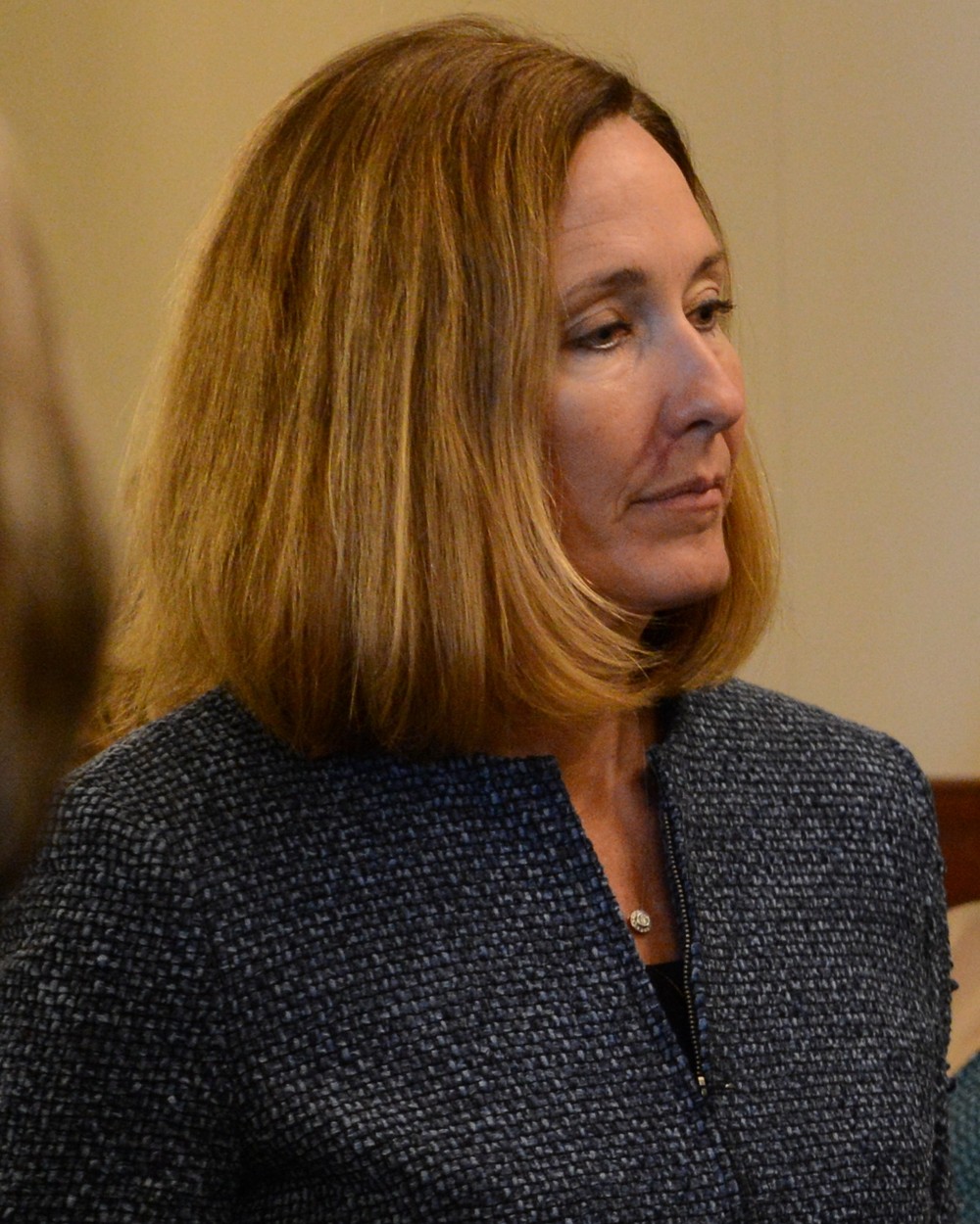Jacqui Irwin, 2026 California 26th District House Democratic candidate