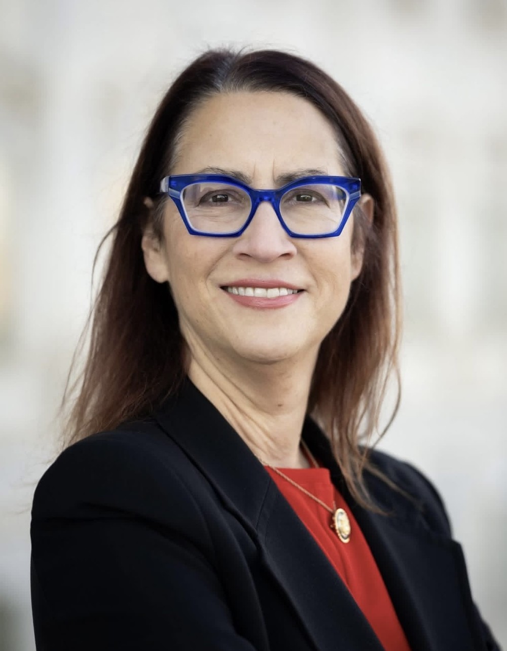 Laura Friedman, 2026 California 30th District House Democratic candidate