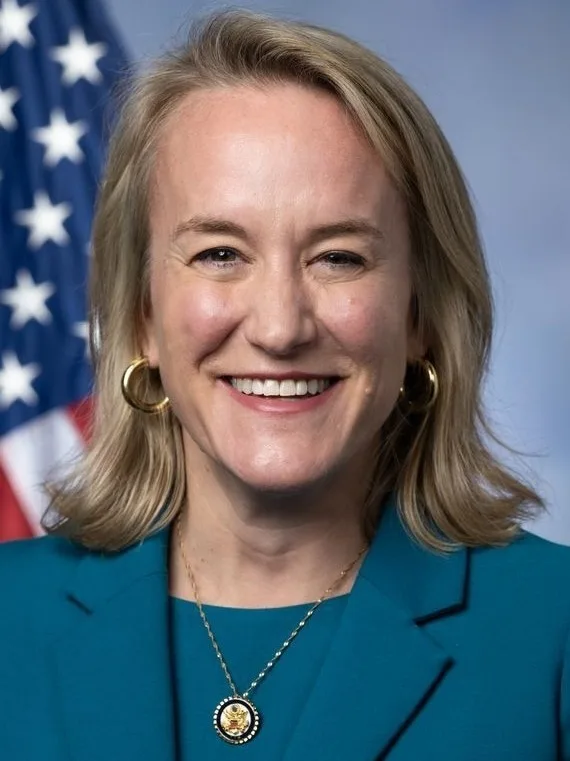 Nikki Budzinski, 2026 House candidate