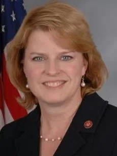 Melissa Bean, 2026 House candidate
