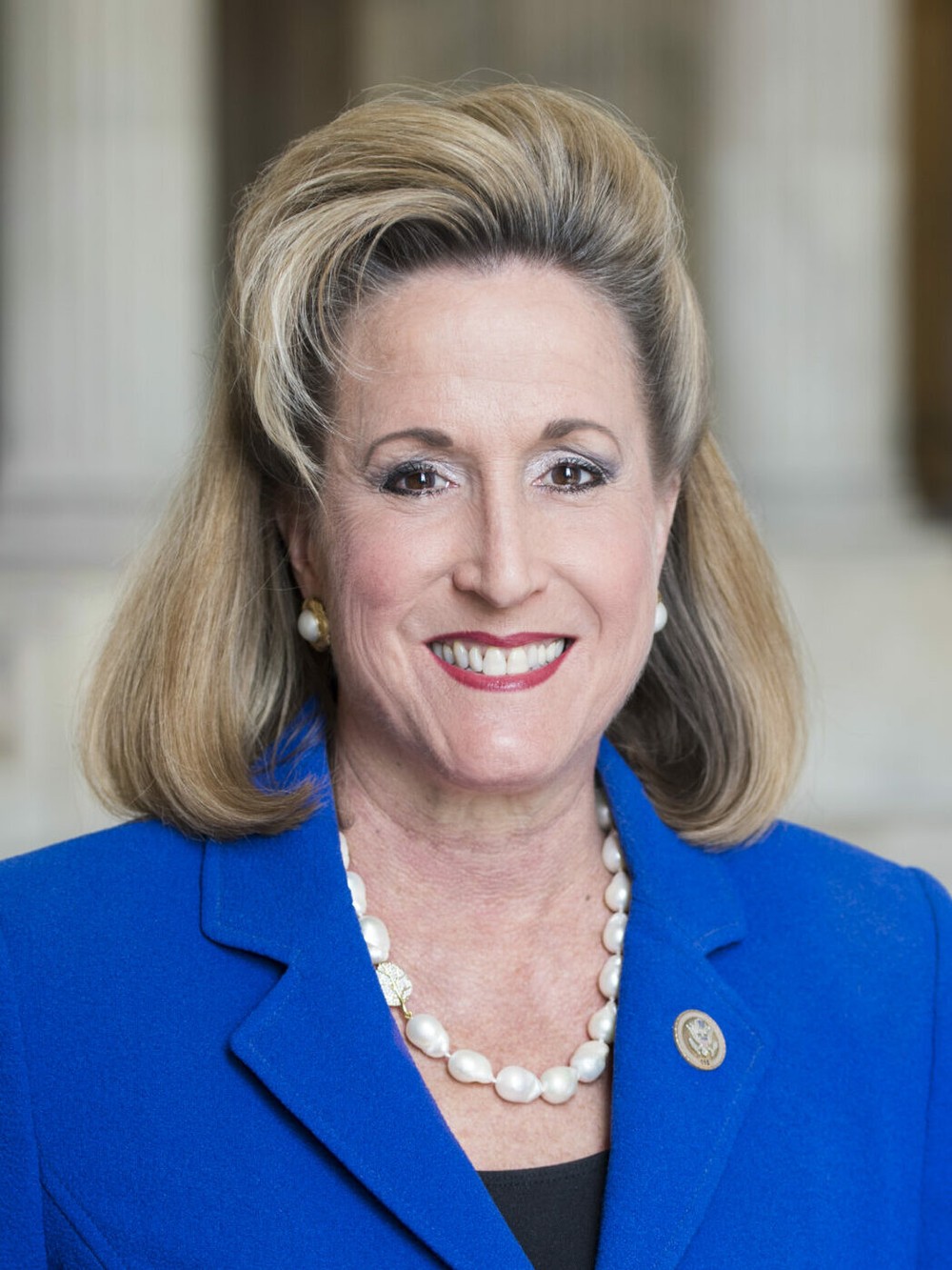 Ann Wagner, 2026 Missouri 2nd District House Republican candidate