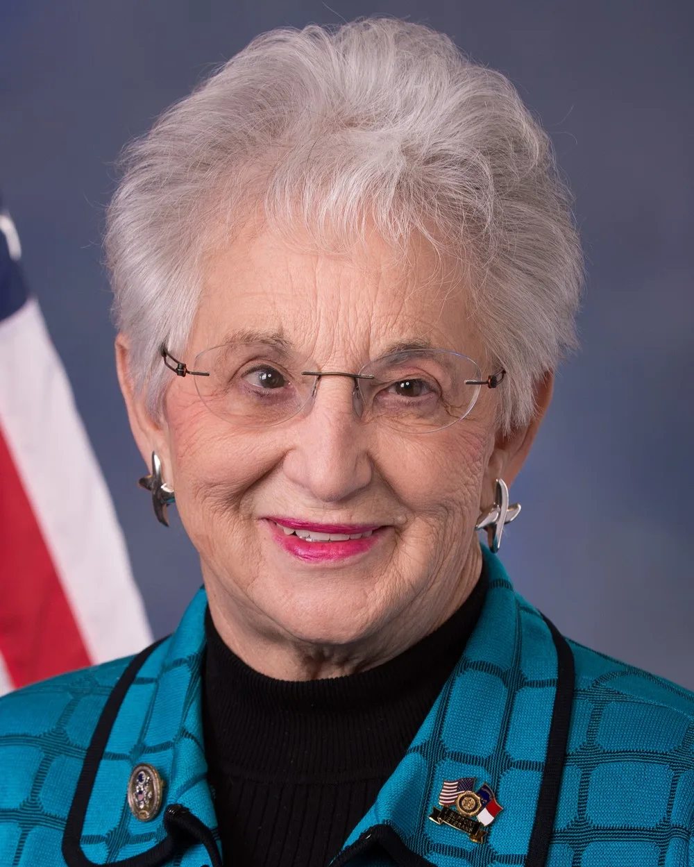 Virginia Foxx, 2026 House candidate