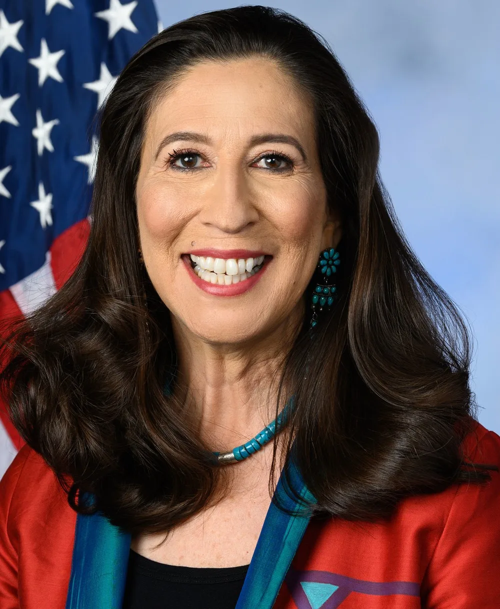 Teresa Leger Fernández, 2026 House candidate