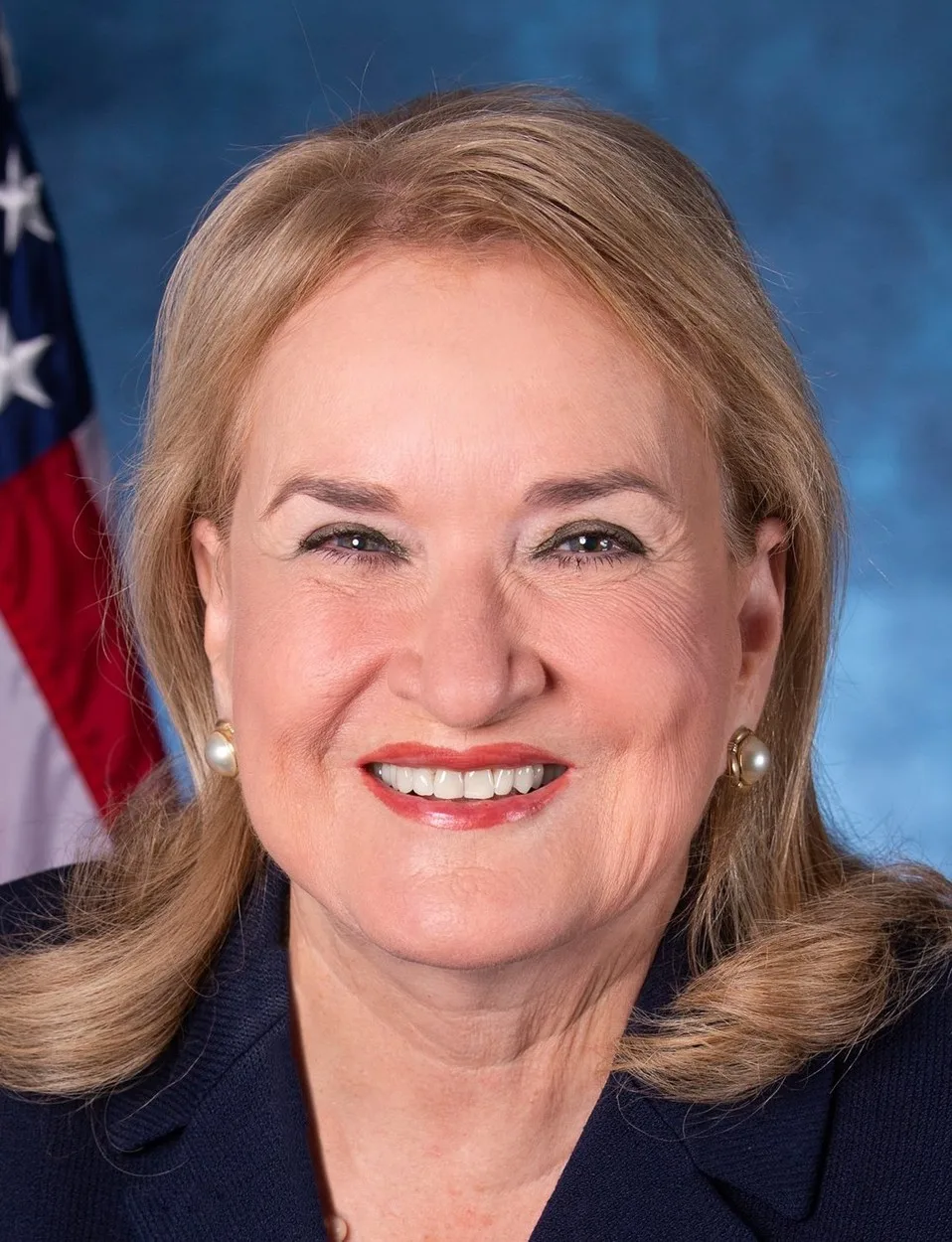 Sylvia Garcia, 2026 House candidate