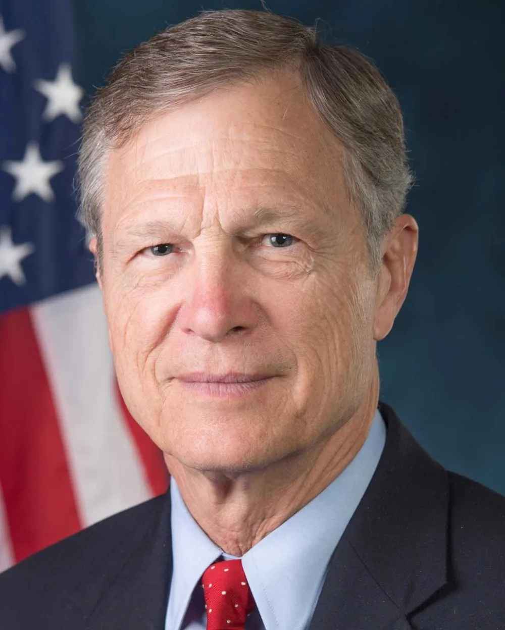 Brian Babin, 2026 House candidate